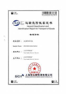 LR41 Button Battery — Road Transport Certificate